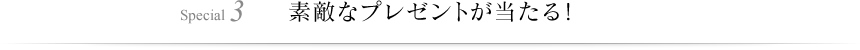 Special 3 素敵なプレゼントが当たる！