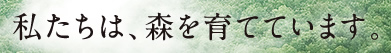 私たちは、森を育てています。