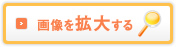 画像を拡大する